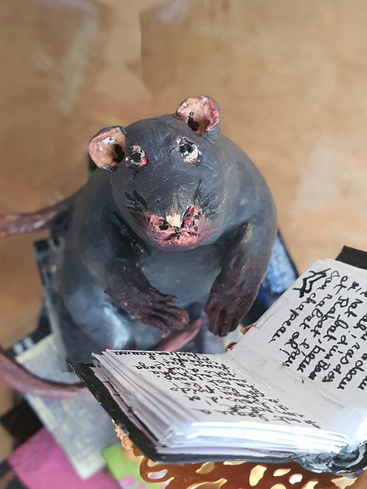Un rat de blibliothèque
